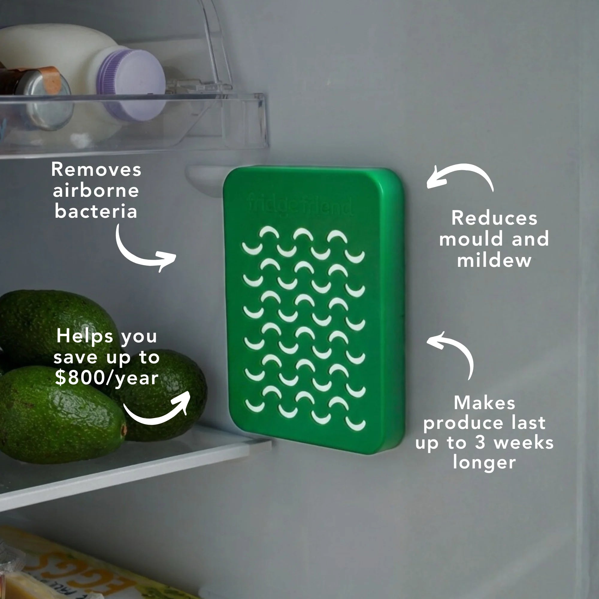 Fridge Friend